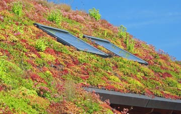 Aldworth living roof systems